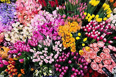 《装甲核心6》大量新细节 故事和5代没关系