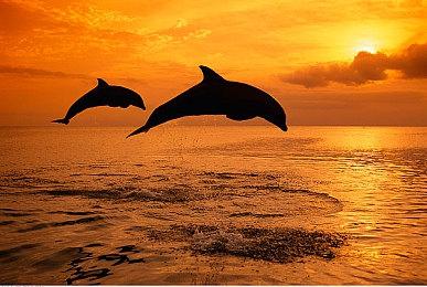 今日正式上市《舞力全开2024》发布歌单预告