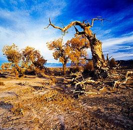 一波未平一波又起 《Apex英雄》又现更多队友bug